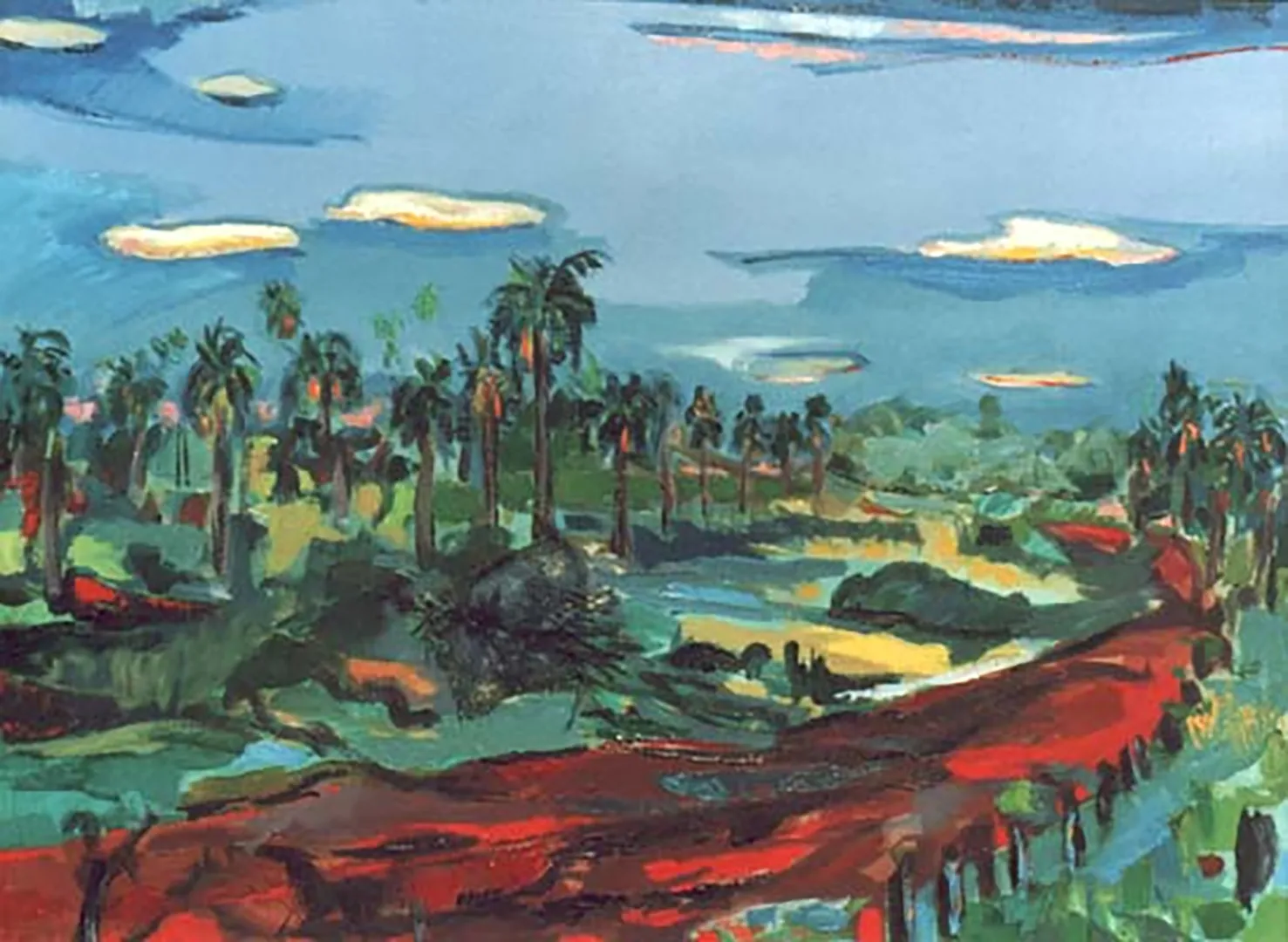 Palmeral paraguayo