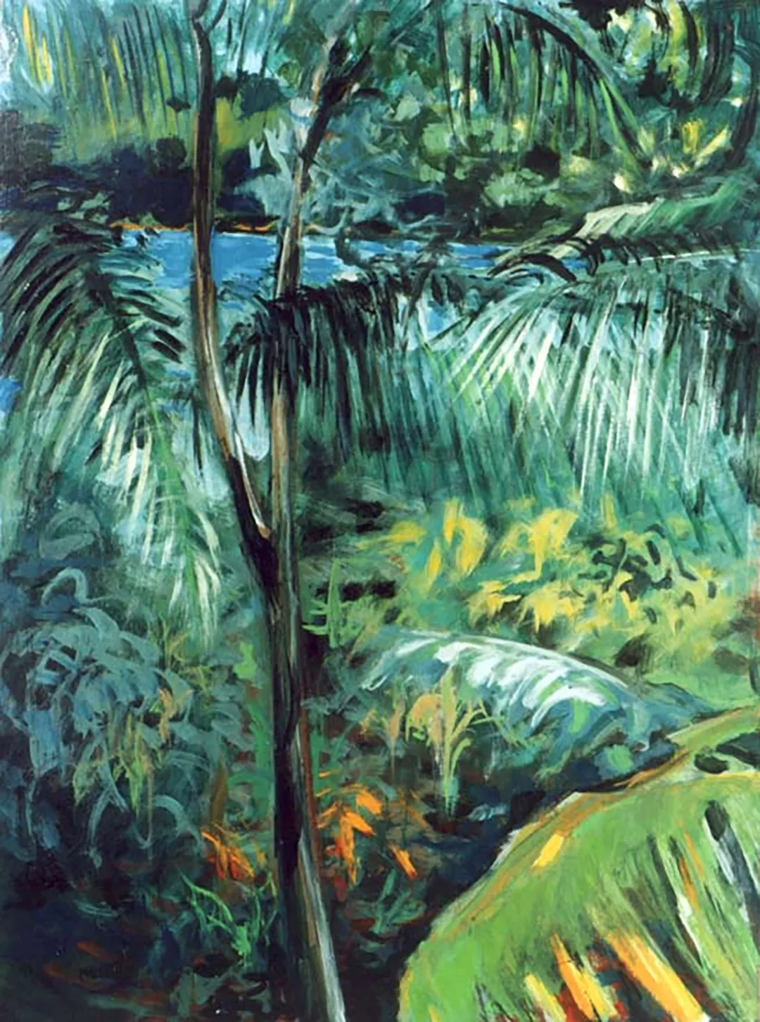 Palmera desde la Playa de las Rocas