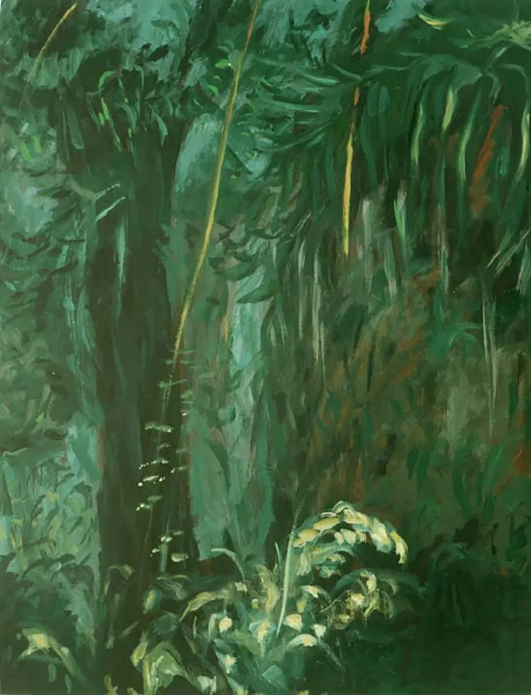 Un rincón en la jungla